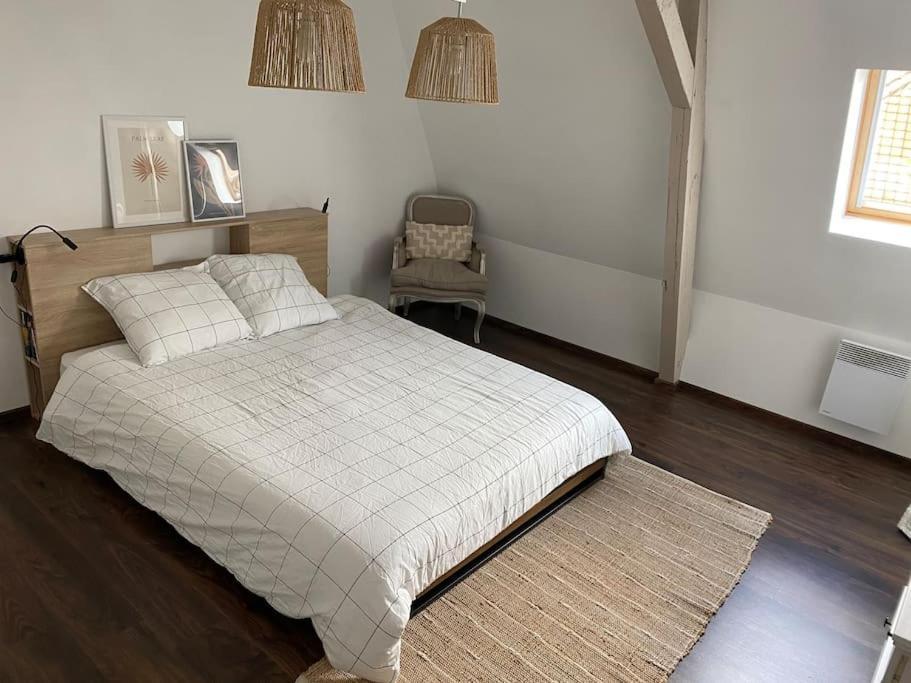 Le 189 : Superbe Triplex Centre Bethune Luaran gambar